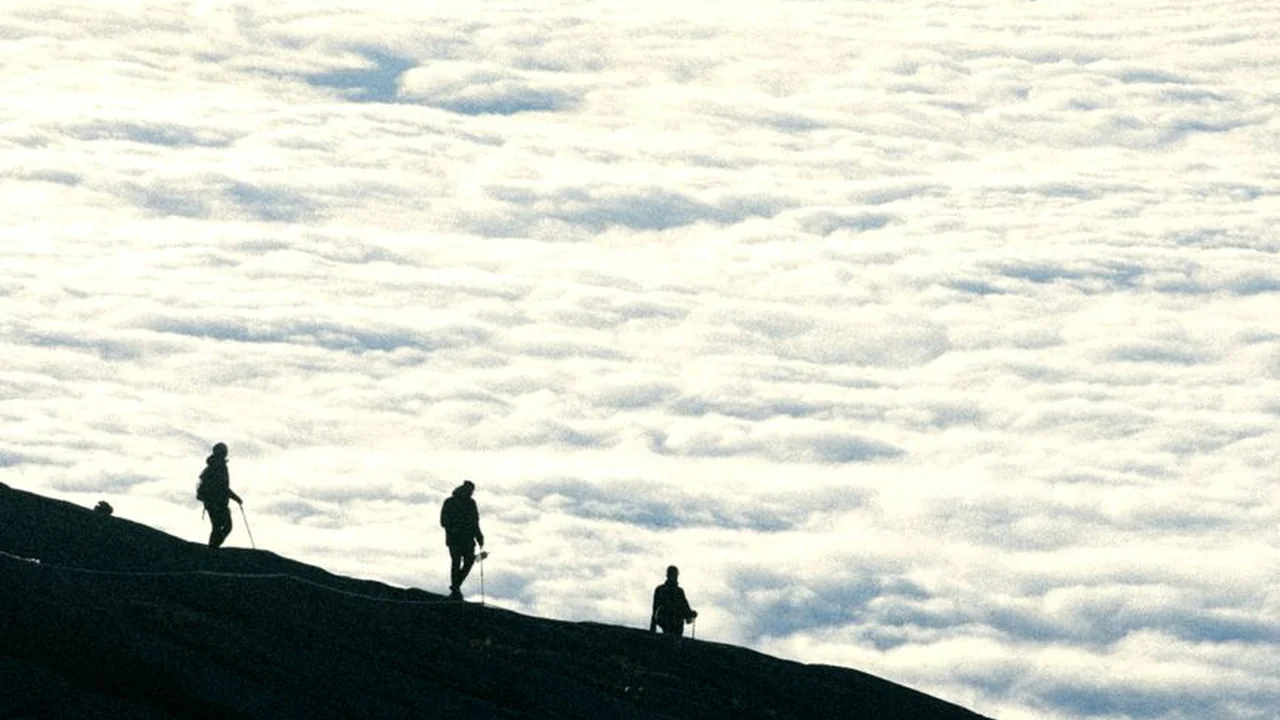 想要叉叉m8u3gey是什么以及怎么用功能与常见问题处理
