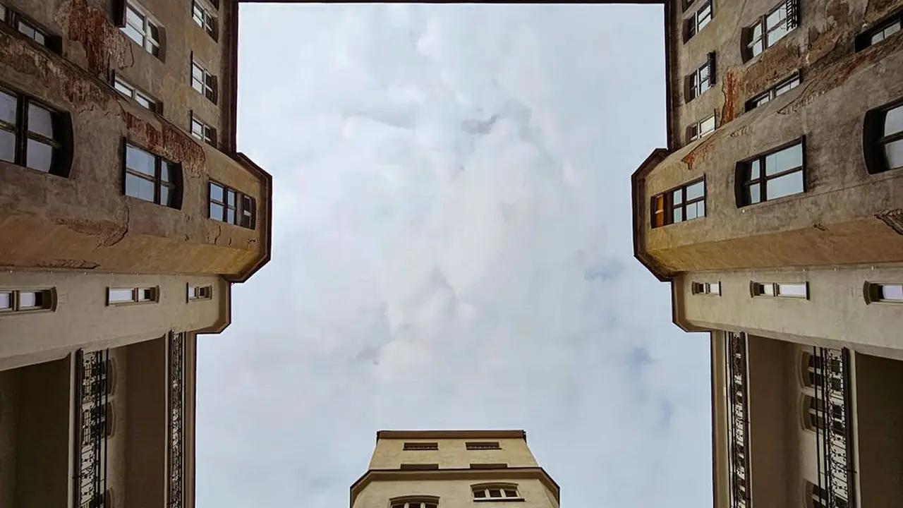 苏子扬头像