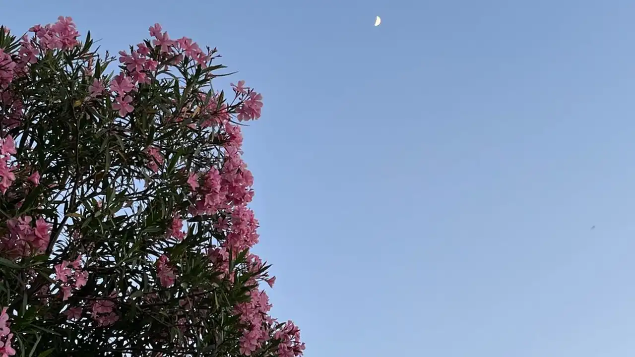 商业设计如何挑选高精图库？